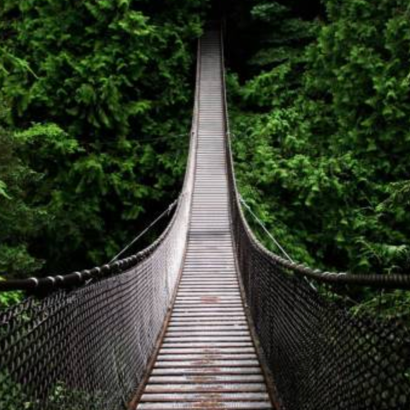 Image of Bridges and Landscapes article