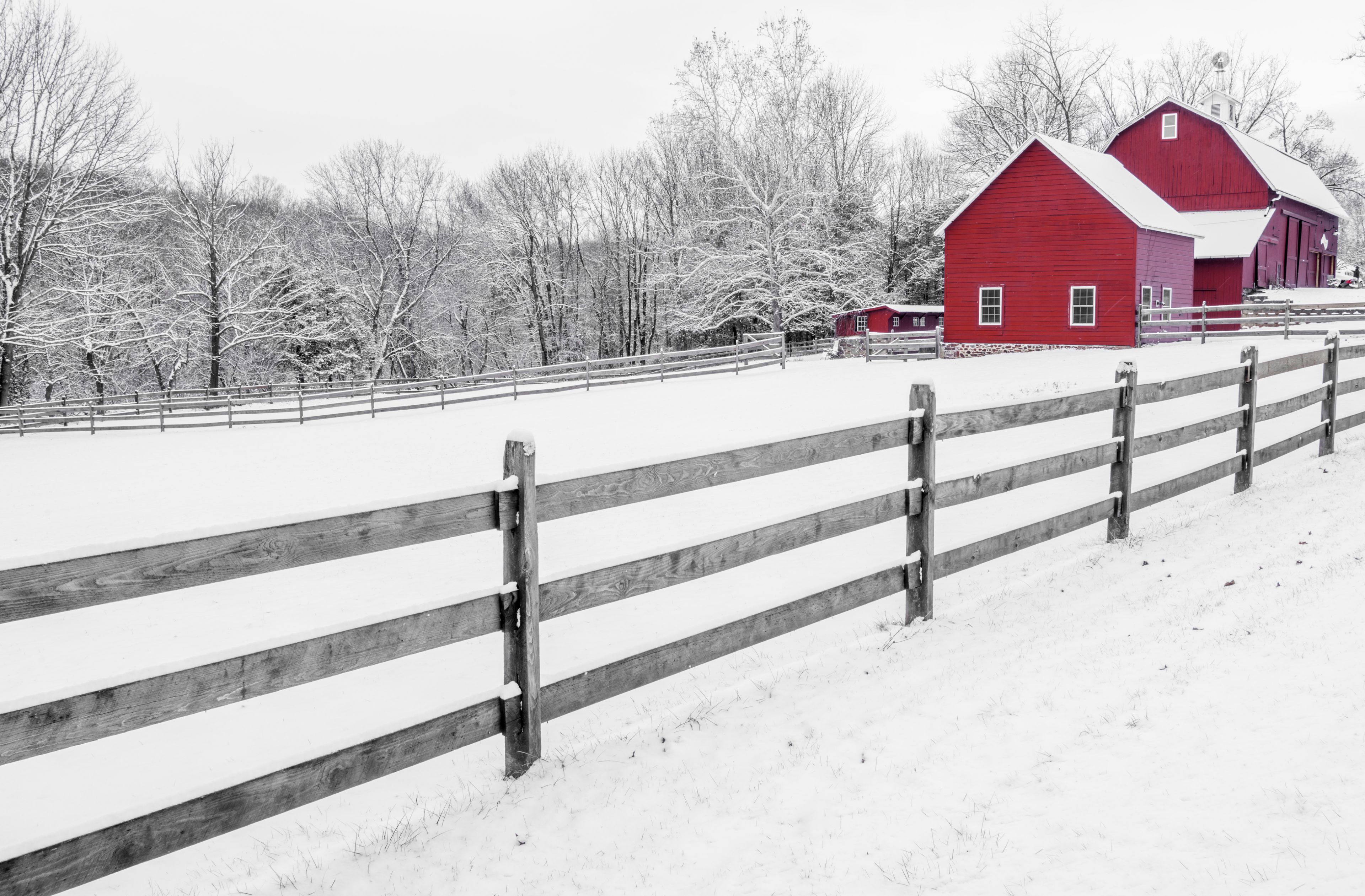 Red Barn, copyright 2019