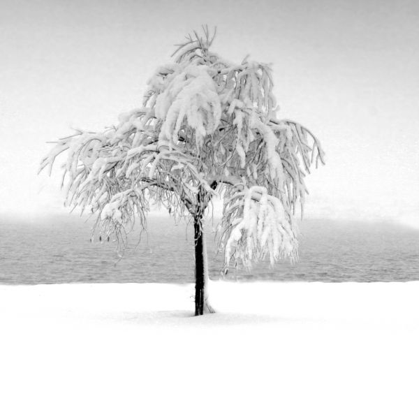 Woman in Scarf, copyright 2019